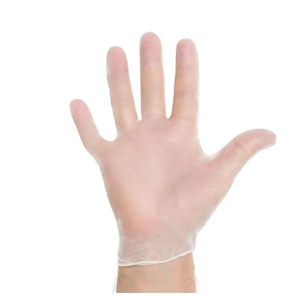 Clear Vinyl Powder Free Exam Gloves - CASE