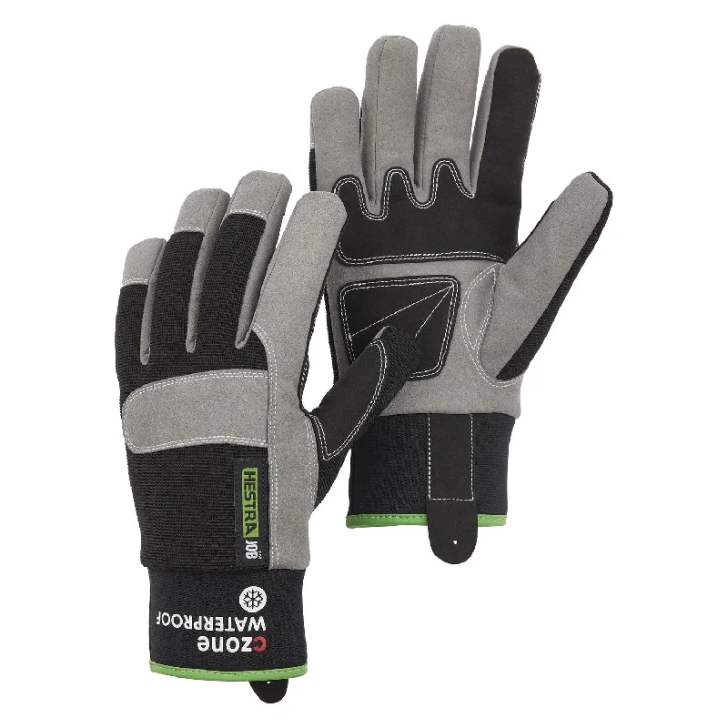 Hestra Anton Winter Gloves #74780-100